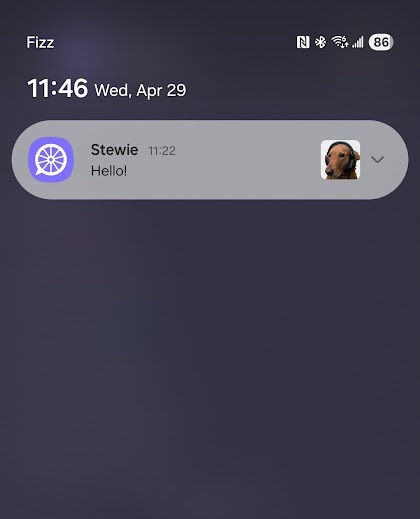 Encrypted Push Notification